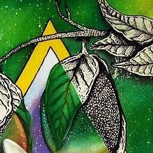 CHOLUPA. Ilustração tradicional projeto de Miguel Guerrero - 20.02.2018