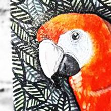 GUACAMAYA. Ilustração tradicional projeto de Miguel Guerrero - 20.02.2018