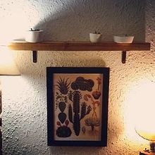 Suculentas - un mundo por descubrir -. Un proyecto de Fotografía de MICAELA ALVAREZ - 23.02.2018