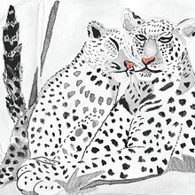 Mama leoparda y leopardito mimoson. Traditional illustration project by Cassandra Sicre - 02.26.2018