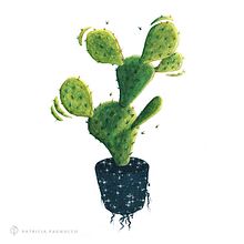 Nopal / Ilustración. Interior Architecture, Arts, Crafts, Fine Arts, Design, Interior Design, Graphic Design, Traditional illustration, and Painting project by Patricia Pagnucco - 12.15.2017