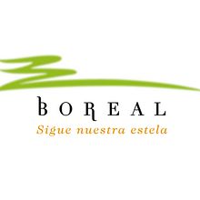 Boreal: Diseño de logotipo. Un progetto di Br, ing, Br, identit, Graphic design e Direzione artistica di Ana Paniagua - 15.11.2004
