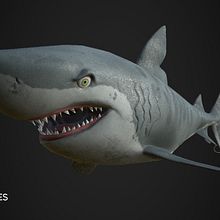 Real/Cartoon Shark. Un proyecto de 3D de xavi peyro - 28.02.2018
