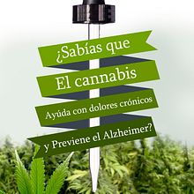PRECBD. Un proyecto de Diseño Web de info - 28.02.2018