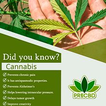 PRECBD. Un proyecto de Diseño Web de info - 28.02.2018