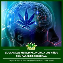 PRECBD. Un proyecto de Diseño gráfico y Publicidad de info - 01.03.2018