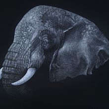 Ilustración. Un progetto di Illustrazione tradizionale di Núria Sola Pulido - 06.08.2015