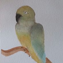 Recuerdo de Felipa. Een project van Traditionele illustratie van Carolina Marambio López - 08.03.2018