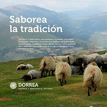 DORREA | Dirección de arte digital. Un proyecto de Dirección de arte y Diseño Web de Barantza - 16.03.2018