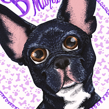 RETRATOS ANIMALES. Un proyecto de Ilustración tradicional de Carolina Zavala - 17.03.2018