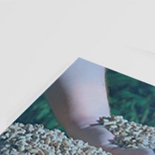 Quimtia's brochure . Pencitraan Merek, Identitas, Desain Editorial, Dan Desain Grafis proyek oleh Marco Tejada Paz - 03.16.2018