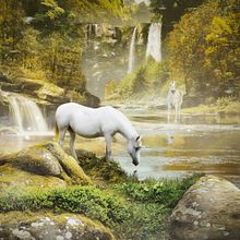 Enchanted Forest. Un progetto di Fotografia, Postproduzione fotografica e Ritocco fotografico di Juan Manuel González López - 18.03.2018