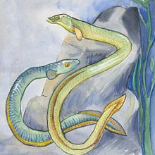 All i Pebre. Un projet de Conception éditoriale et Illustration traditionnelle de Beatriz López Albir - 20.03.2018