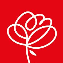 Identificador Sant Jordi Ciutat Vella. Design gráfico e Ilustração tradicional projeto de Cristina Sabaté - Disseny gràfic i il·lustració - 20.03.2018