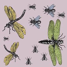 Insectos: Diseño de estampados textiles. Pattern Design project by Maria Cuevas - 03.21.2018