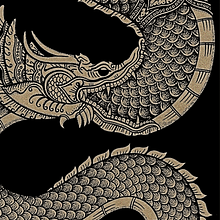 Camiseta para Core Combat Unlimited (artes marciales). Projekt z dziedziny Trad, c i jna ilustracja użytkownika Dynamai Branding - 21.03.2018