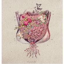 Flora intestinal Ein Projekt aus dem Bereich Collage und Traditionelle Illustration von Coral - 22.03.2018