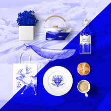 ICELANDIC. Un proyecto de Br e ing e Identidad de Isabel Camarasa - 27.07.2017