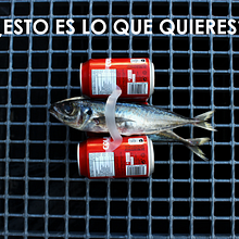 Campaña Medio Ambiente. Un proyecto de Br, ing e Identidad, Dirección de arte, Diseño, Diseño gráfico, Fotografía, Post-producción fotográfica		, Producción audiovisual					 y Publicidad de Mercedes Janowska - 20.03.2017