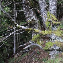 Naturaleza . Fotografie de Eulalia Alvarez Puig - 04.02.2018