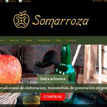 Sidra Somarroza. Un proyecto de Diseño Web de sandra uzal - 12.04.2012