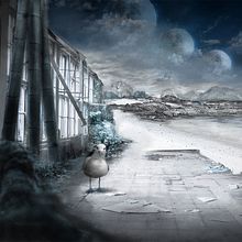 Gaviota en la playa. Traditional illustration project by Bonaria Staffetta - 04.15.2018