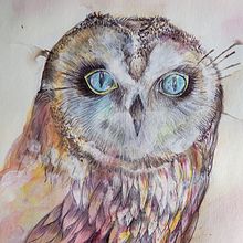 Lechuza. Traditional illustration project by La gata Sobre el tejado - 04.16.2018