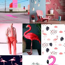 Flamingo /  SS 2019. Design, Graphic Design, and Traditional illustration project by sara viñas - 04.17.2018