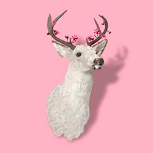 Venado Blanco Ein Projekt aus dem Bereich Kreativität, Design, Grafikdesign und Bildbearbeitung von Angel Guzmán Arrambide - 09.05.2018