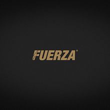 FUERZA. Un proyecto de Br, ing e Identidad, Dirección de arte, Lettering y Packaging de twineich - 09.03.2018