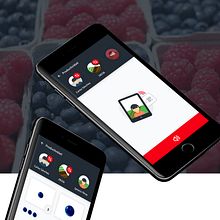 UI / UX App recolección fruta en Marruecos. Design interativo, e UX / UI projeto de Raquel Sacristán Risueño - 22.04.2018