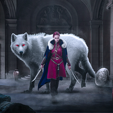 Winter Has Come. Photograph, Digital Illustration, Photograph, Post-production, and Photo Retouching project by Luis Azueta - 08.25.2017