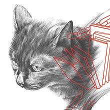 Pícaro - El gato macarra. Graphic Design, Traditional illustration, and Vector Illustration project by Belén Moreno - 04.26.2018