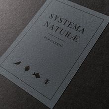 Systema Naturae. Un proyecto de Diseño, Ilustración tradicional y Serigrafía de Estudio Pep Carrió - 26.04.2018