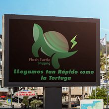 Branding Turtle Flash. Un proyecto de Br, ing e Identidad y Diseño de Yhon Sastoque - 28.04.2018