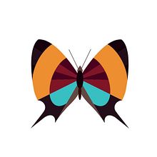 Serie - Gráficos con Mariposas. Un projet de Illustration traditionnelle et Illustration vectorielle de Gisela Barros Cortes - 28.04.2018