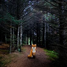 Fotomontaje / Ilustración Digital. Drawing, Photograph, and Photo Retouching project by sarah rodríguez iglesias - 12.31.2018
