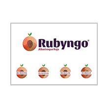 Propuesta rediseño de marca para Rubyngo (2018). Un progetto di Br, ing, Br, identit e Graphic design di INMANTADAGRAFIK - 06.03.2018