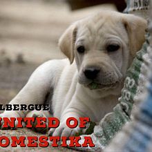 Mi Proyecto del curso: Creatividad publicitaria para todos los públicos . % Andres Rangel tarafından hazırlanan Yaratıcı Danışmanlık, Harfler, Ve Reklamcılık projesi - 05.08.2018