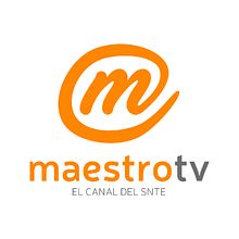 Maestro TV. Logo Design project by hugo molina - 07.01.2017