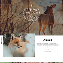 Rediseño: Reserva Wild Forest. Projekt z dziedziny Projektowanie graficzne, Web design i UX / UI użytkownika Alicia Cdt - 09.05.2018