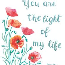 Tarjeta amapolas . % Maria José Plata Santos tarafından hazırlanan Geleneksel illüstras, Ve on projesi - 05.30.2018