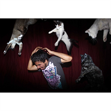 lluvia de gatos . Photograph project by Mauro Chiconetl - 05.20.2018