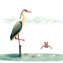 Mi Proyecto del curso: Ilustración digital con lápices de colores. Un proyecto de Ilustración digital de di_ana44 - 23.05.2018