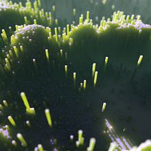 Marine spaghetti. Un projet de 3D de Marcos Álvarez - 22.05.2018