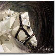GEOMO. Design, Graphic Design, Traditional illustration, Digital Illustration, and Vector Illustration project by Hamza Jiah - 05.26.2018