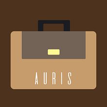 Mi trabajo en AURIS Estrategia y Comunicación. Un progetto di Animazione e Design di Ian Manuel Hernandez - 30.05.2018