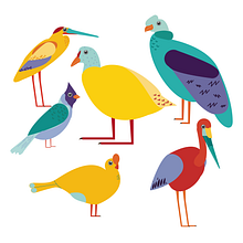 BIRDS. Un proyecto de Dibujo, Ilustración tradicional e Ilustración digital de Karolayne Pez - 30.05.2018