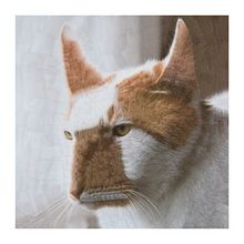 Tres retratos de Charlie . Colaj, Arte plastice & Ilustrație tradițională de Lola Dupre - 06.01.2018