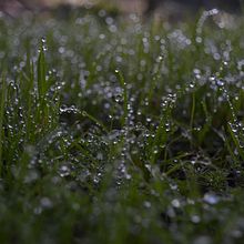 ESTUDIANTE: Trabajo práctico: Consigna - 1 Palabra, 1 imagen. . % Bárbara Marcos tarafından hazırlanan Fotoğrafçılık projesi - 06.01.2018